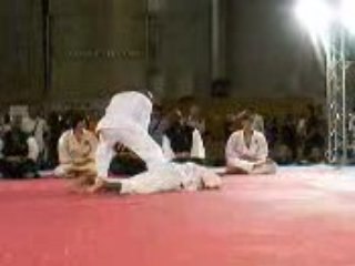 Shorinji kempo 2