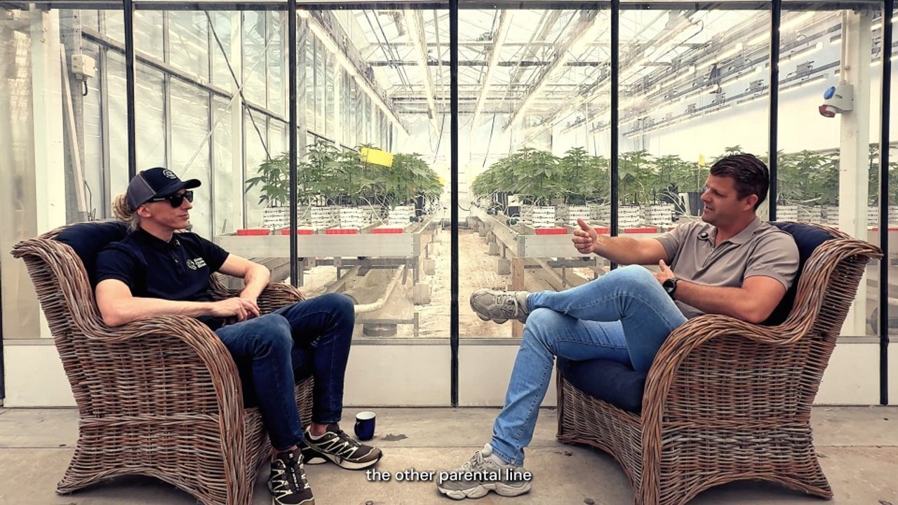 Cannabis Conversations: Inside RQS's New F1 Hybrid Photoperiods