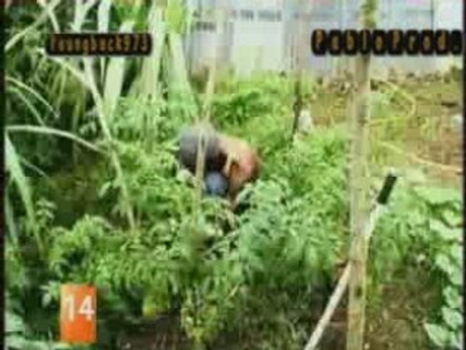 Tiwony - Prié Jah -