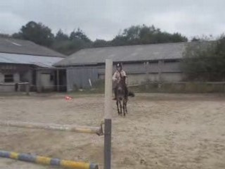Anne so et la mule