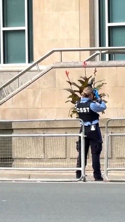 Gunshots fired outside US consulate in Toronto
