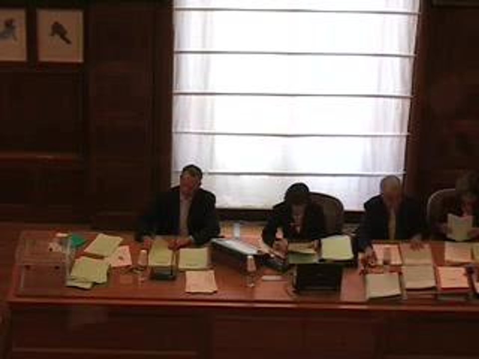 Conseil de Puteaux, mai 2006 (5)