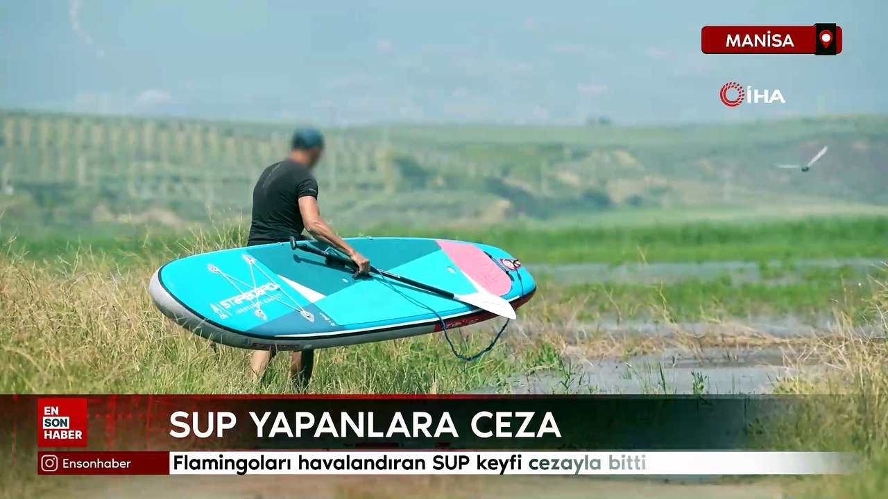 Manisa'da Flamingoları havalandıran SUP keyfi cezayla bitti