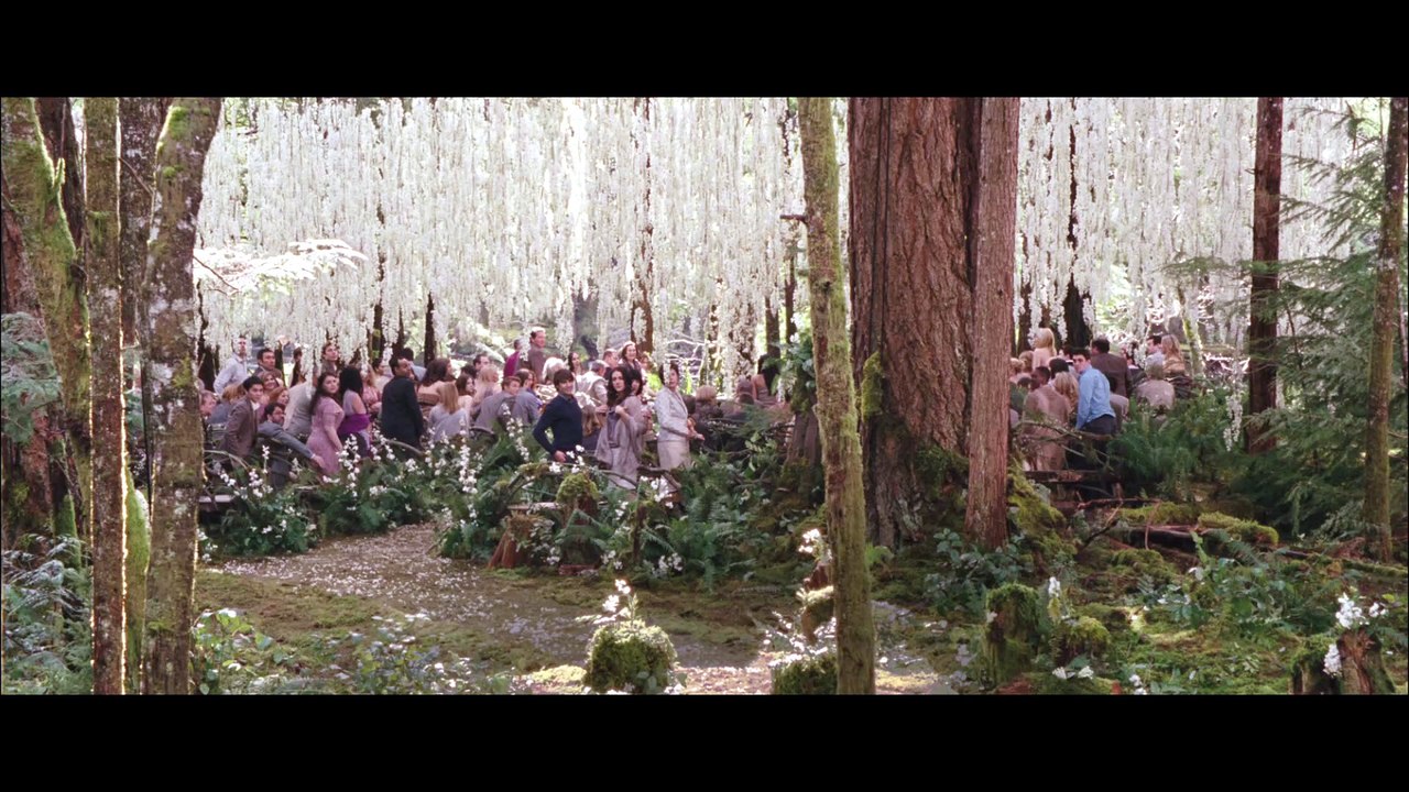 Twilight - Chapitre 4 : révélation