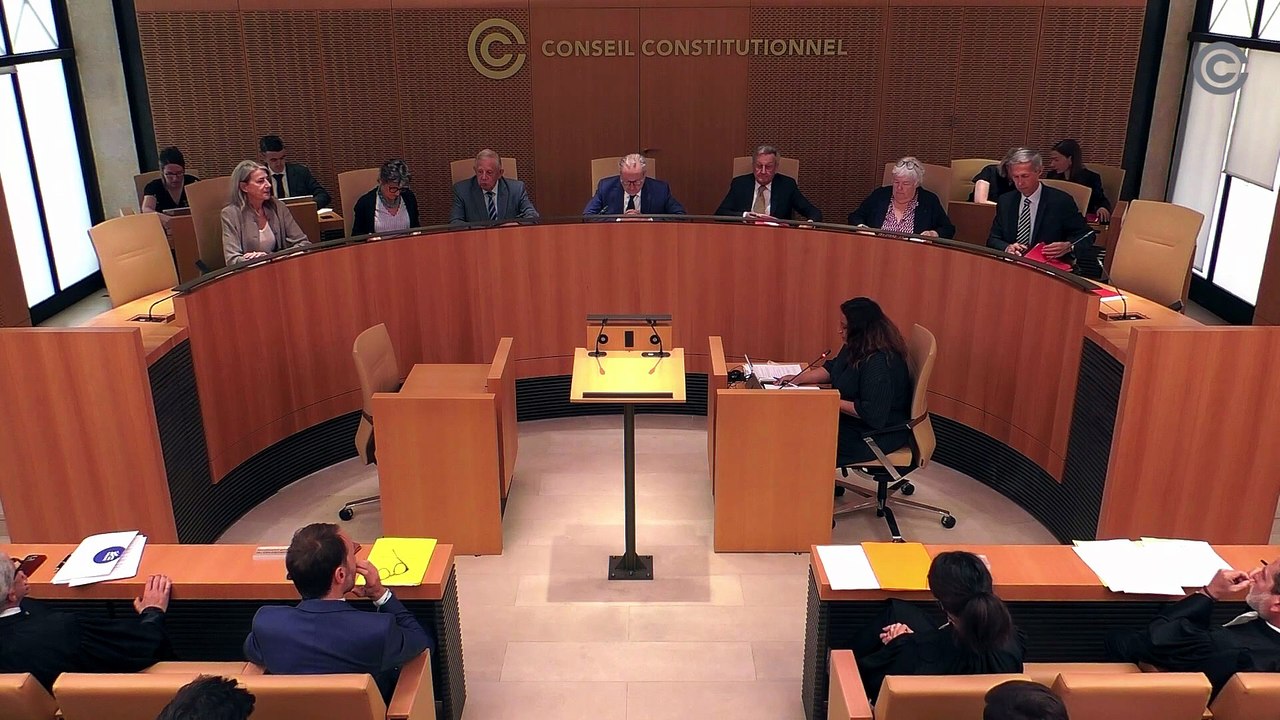 Affaire n° 2026-1217/1218-QPC