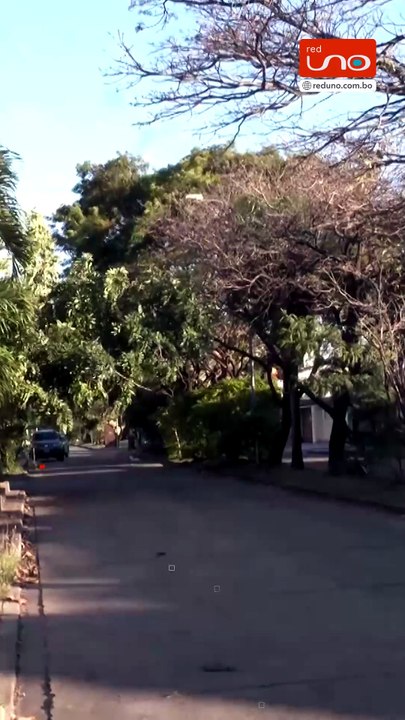 ¿lloverá durante la semana? Así estará el clima en Santa Cruz