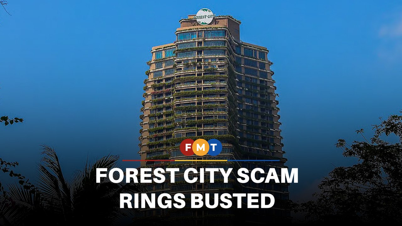Major bust in Forest City as 335 nabbed, 2 scam rings dismantled