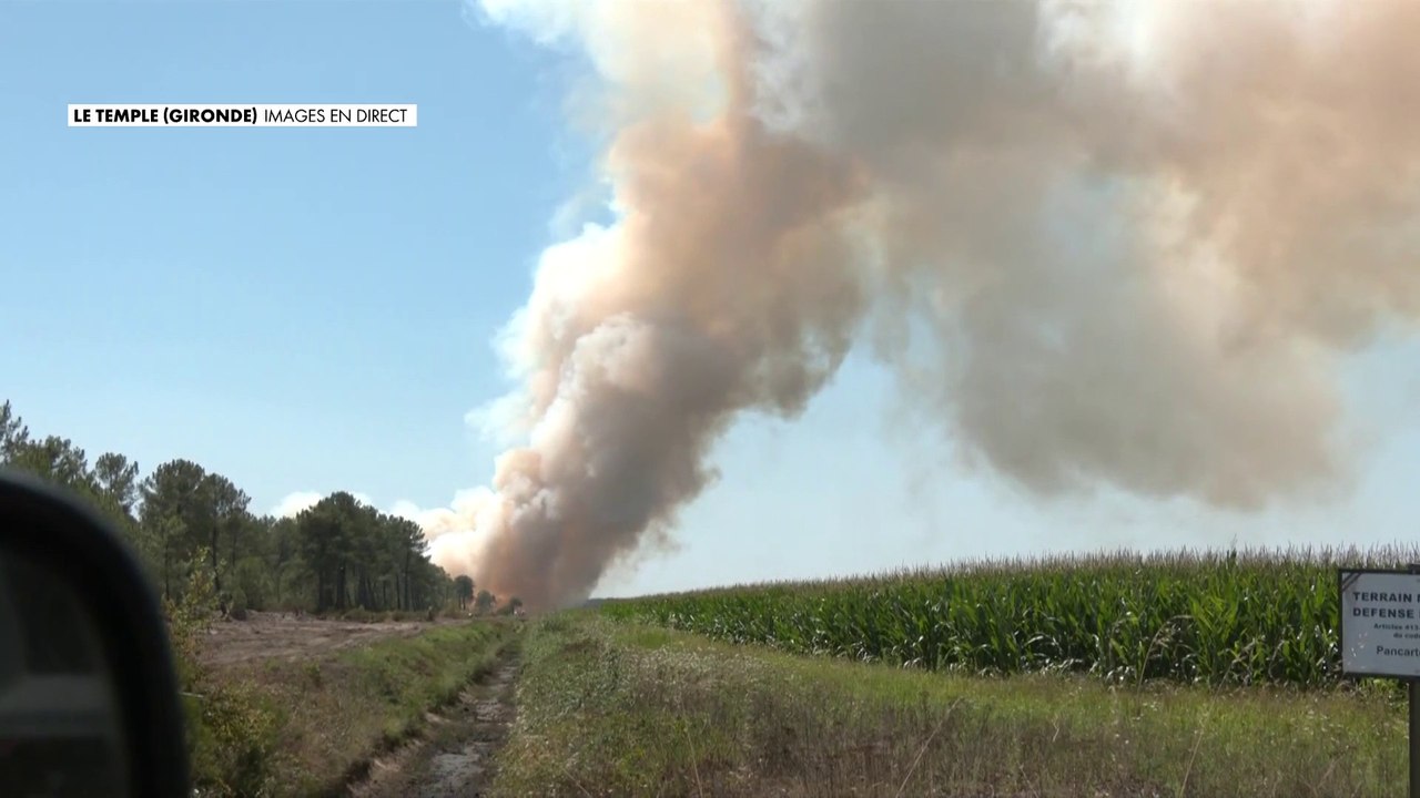 Incendie en Gironde : les images des flammes qui reprennent au Temple