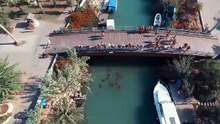 Türkiye'nin nesli tehdit altındaki sevimli canlıları için alarm çanları çalıyor!