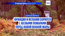 Франция и Испания пытаются взять под контроль лесные пожары перед новой волной жары