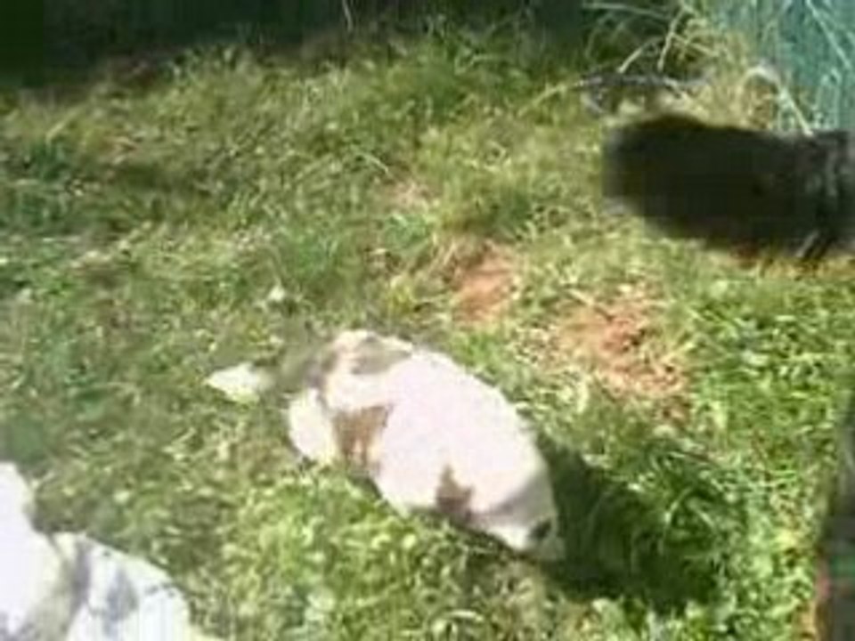 CLIP0107