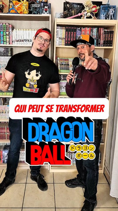 Qui peut se transformer dans DRAGON BALL feat raizen