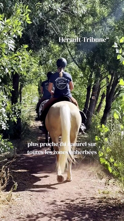 Au Salagou, une patrouille équestre à cheval sur le règlement