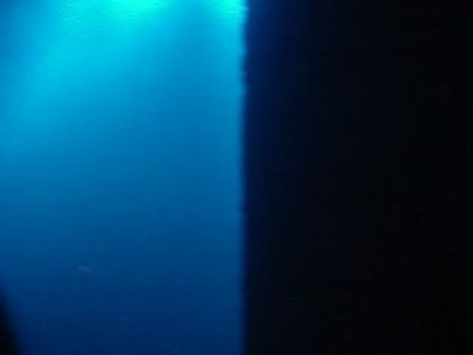 MOV04964