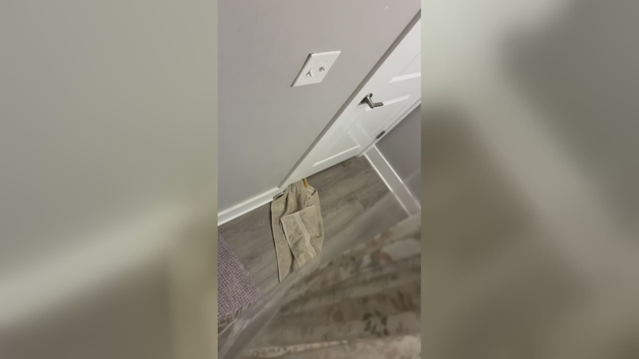 Cat Caught Stealing Owners Towel While She Showers