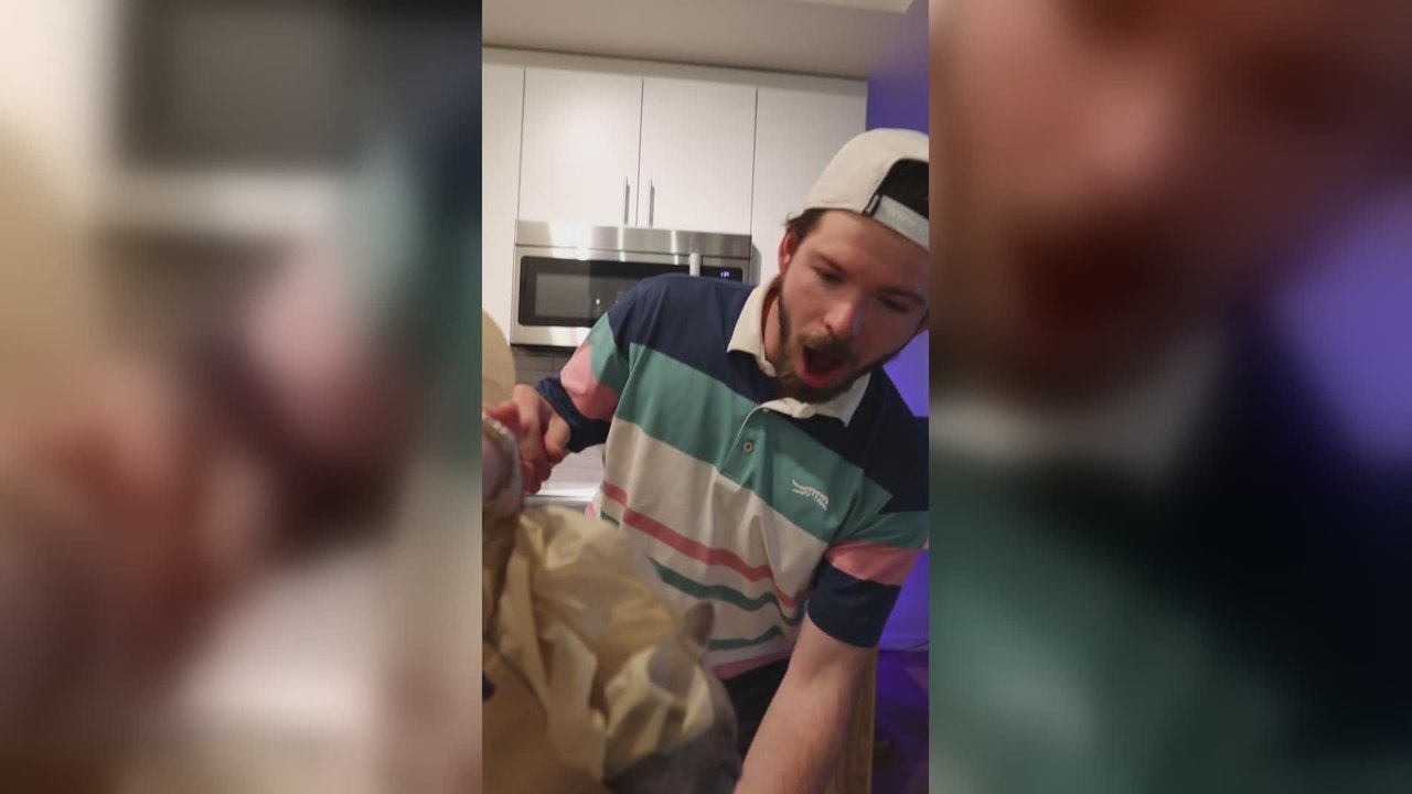 Golfer Celebrates Record Score With Surprise Ragdoll Kitten Gift
