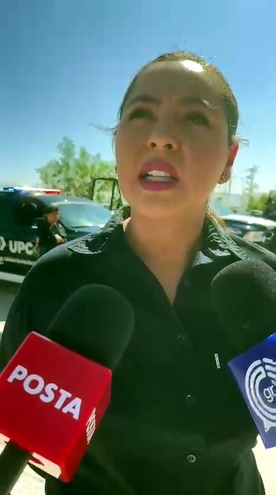 Reportan nuevo avistamiento de oso al poniente de Saltillo