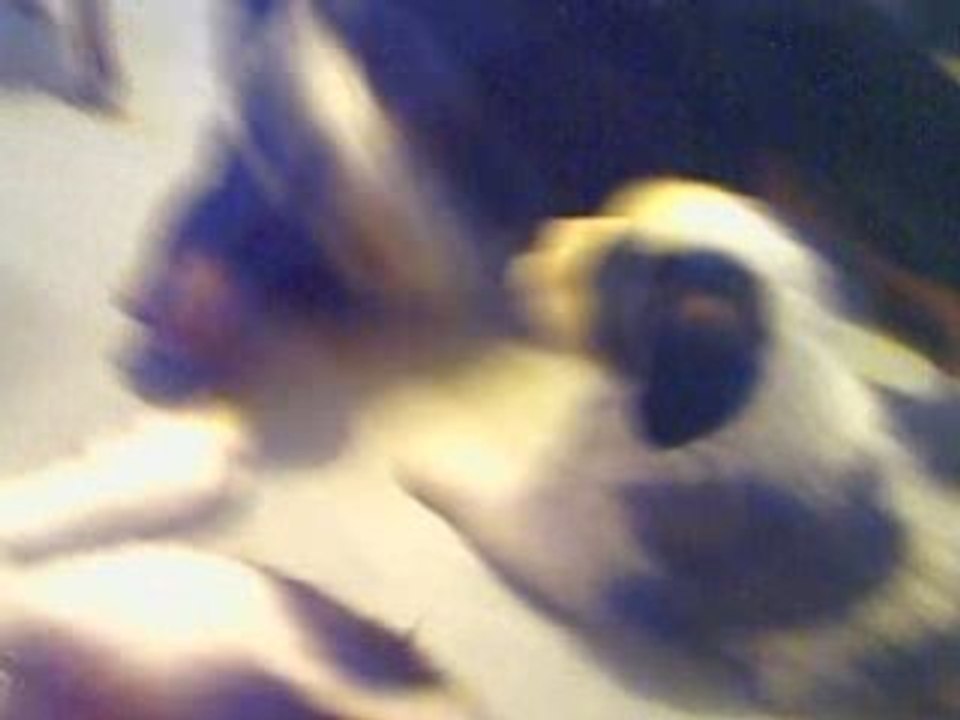 CLIP0171