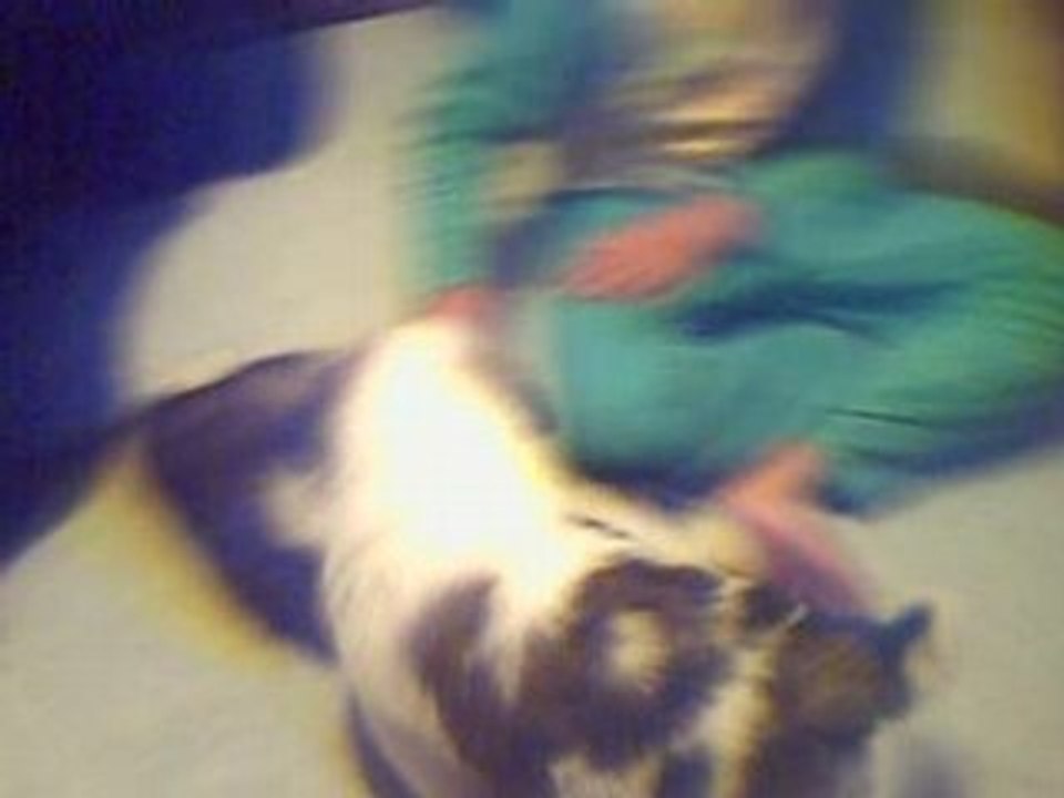 CLIP0186
