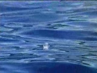 La planète bleue.5