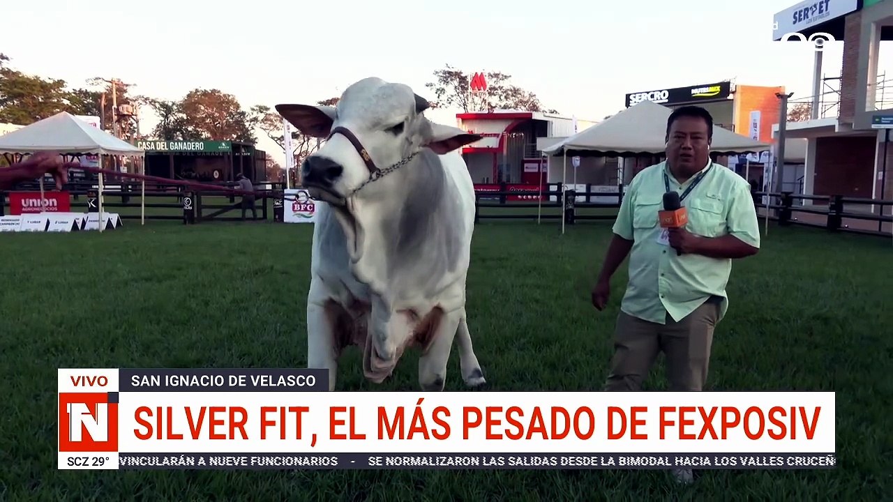 SILVER FIT, EL MÁS PESADO DE FEXPOSIV