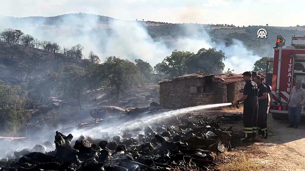 Uşak'ta meşelik alanda yangın: Karadan müdahale sürüyor