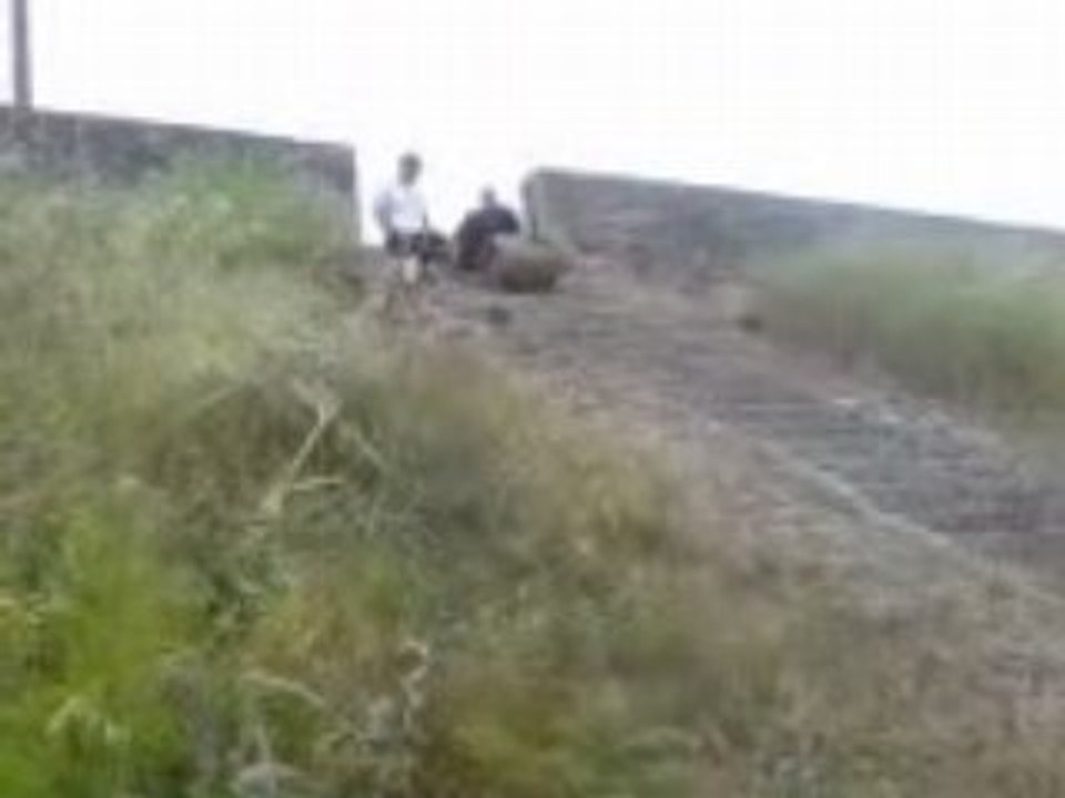 MOV01371