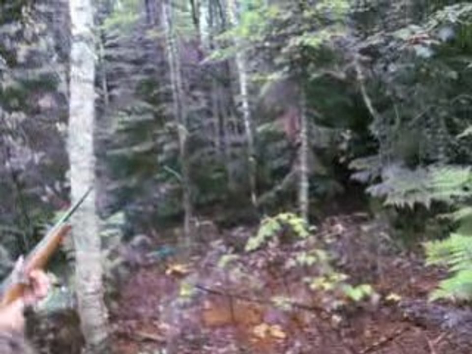 pepet chasse a l ours