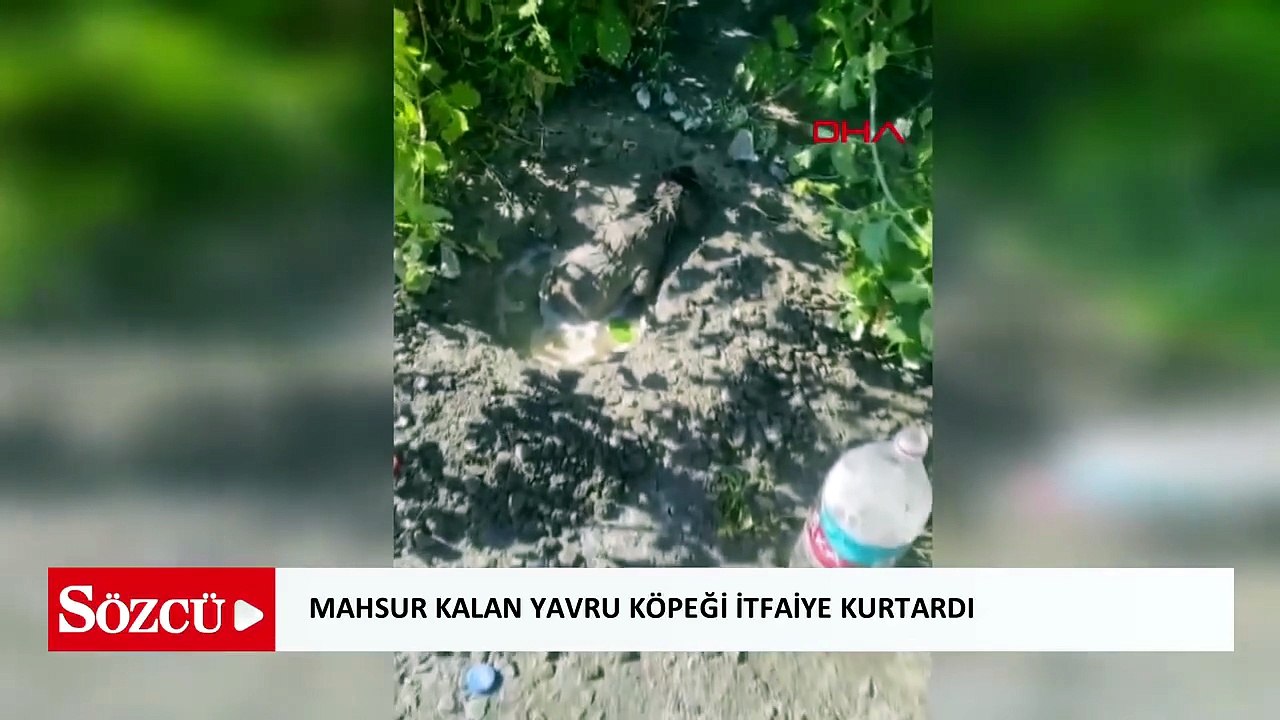 Mikserden dökülen betonda mahsur kalan yavru köpeği itfaiye kurtardı