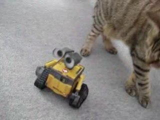 Wall-E Idance et ma Chatte Lilou - Disney Pixar