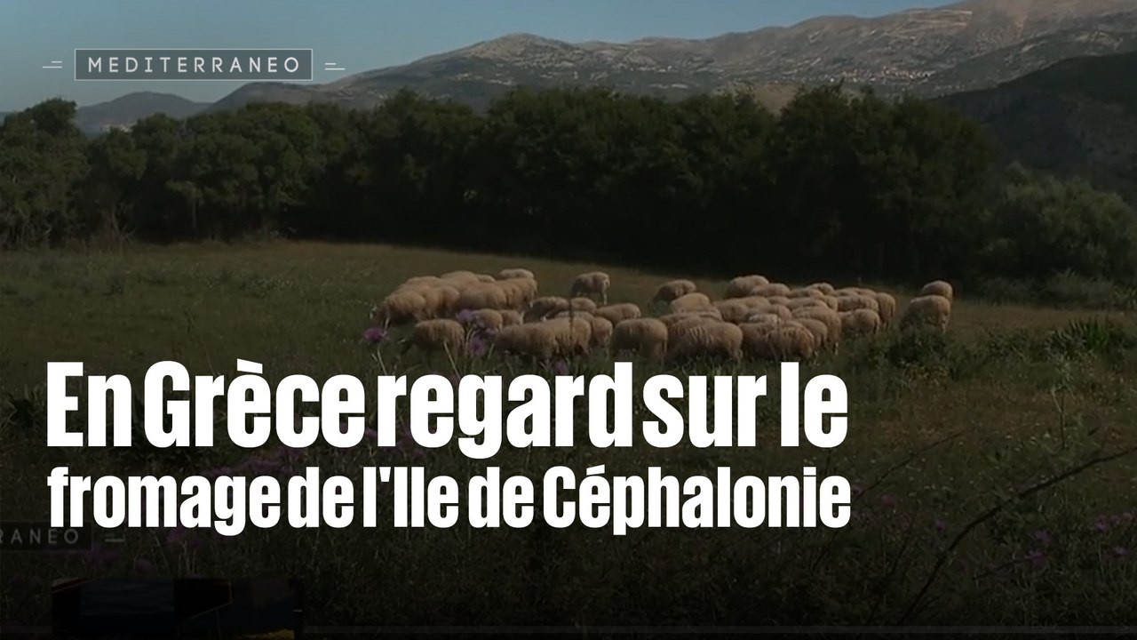 MEDITERRANEO 2025/2026 - INTEMPO - En Grèce, regard sur le fromage de l'Ile de Céphalonie