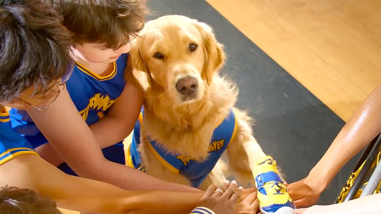 Air Bud Returns Brings a Beloved Sports Legend Back to the Big Screen