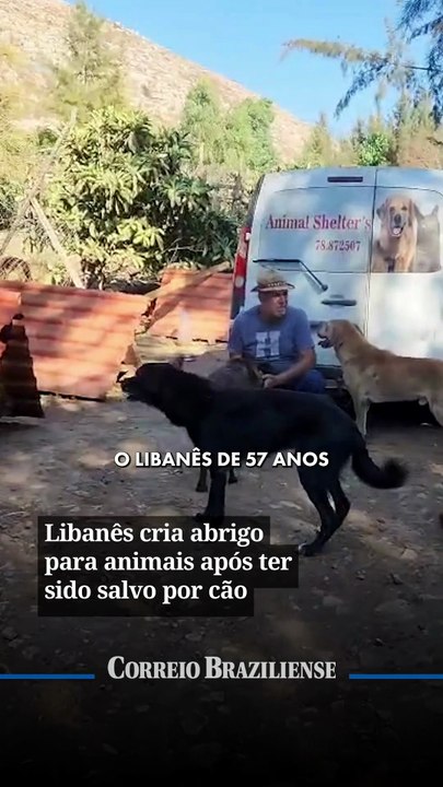 Libanês cria abrigo para animais após ter sido salvo por cão