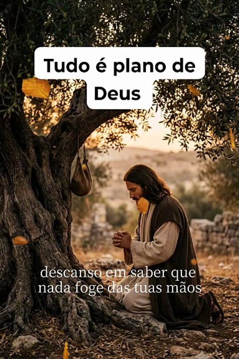 Tudo é plano de Deus