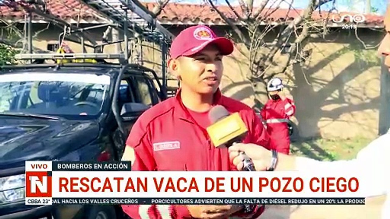 RESCATAN A UNA VACA DE UN POZO CIEGO