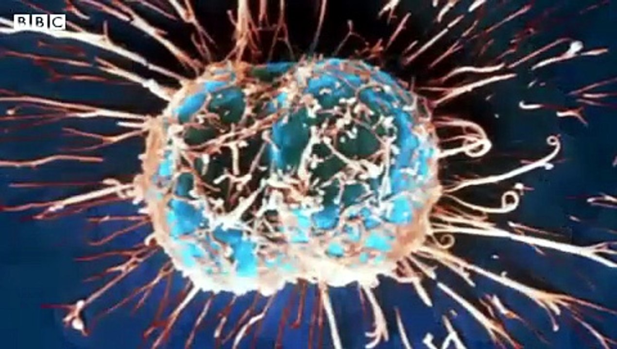 HOUSE CALL: HPV VACCINE CAN HELP PREVENT CANCER