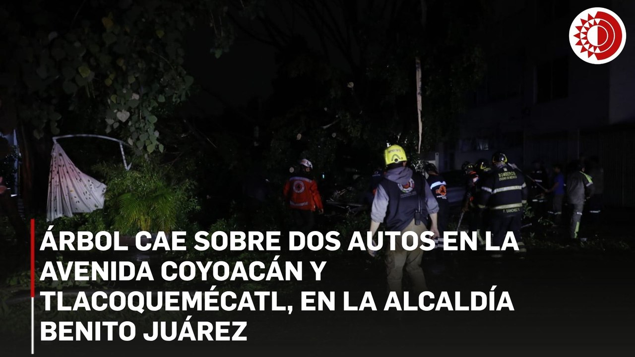 Árbol cae sobre dos autos en la colonia Del Valle, CDMX