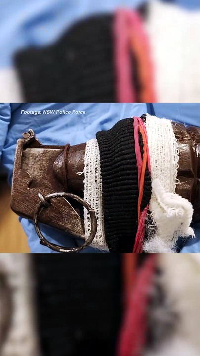Grenades and firearms allegedly seized from south west Sydney home