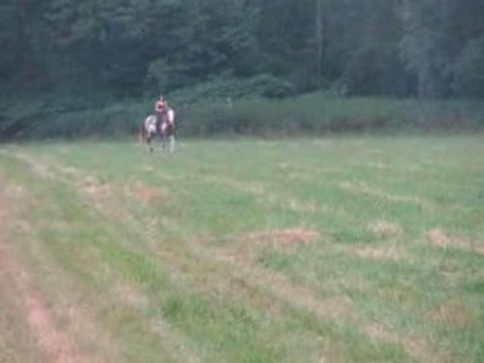 Jack dans les champs