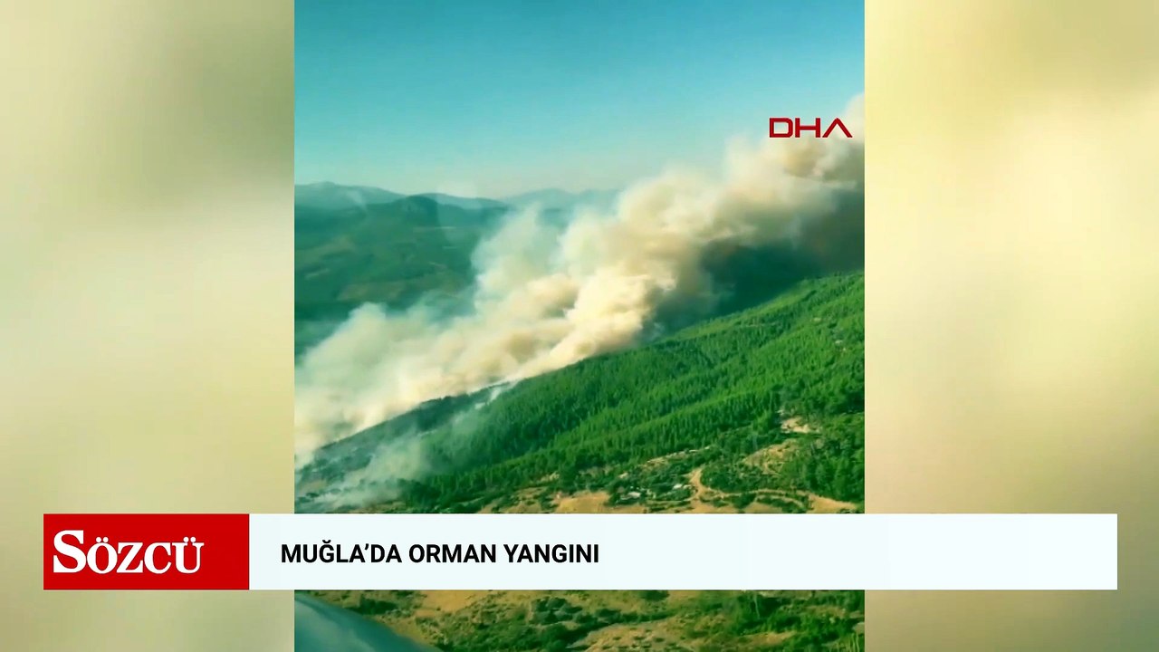 Muğla'da orman yangını