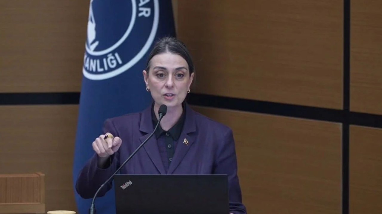 Gözaltına alınan Sinem Dedetaş'ın üç ay önceki sözleri yeniden gündemde: Hepimizi de içeri alsanız bu milletin yüzü gülmeyecek