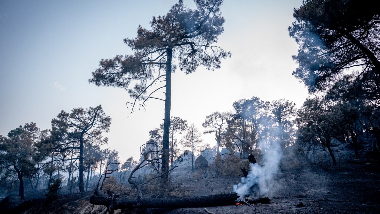 Los incendios de Madrid y Ávila mejoran su situación mientras el de Vall de Uxó avanza sin control
