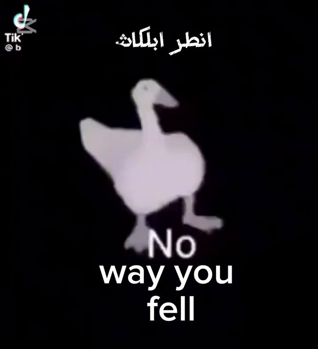 انطر ابلكاش