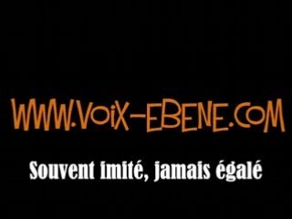 Voix d'ébène Africa