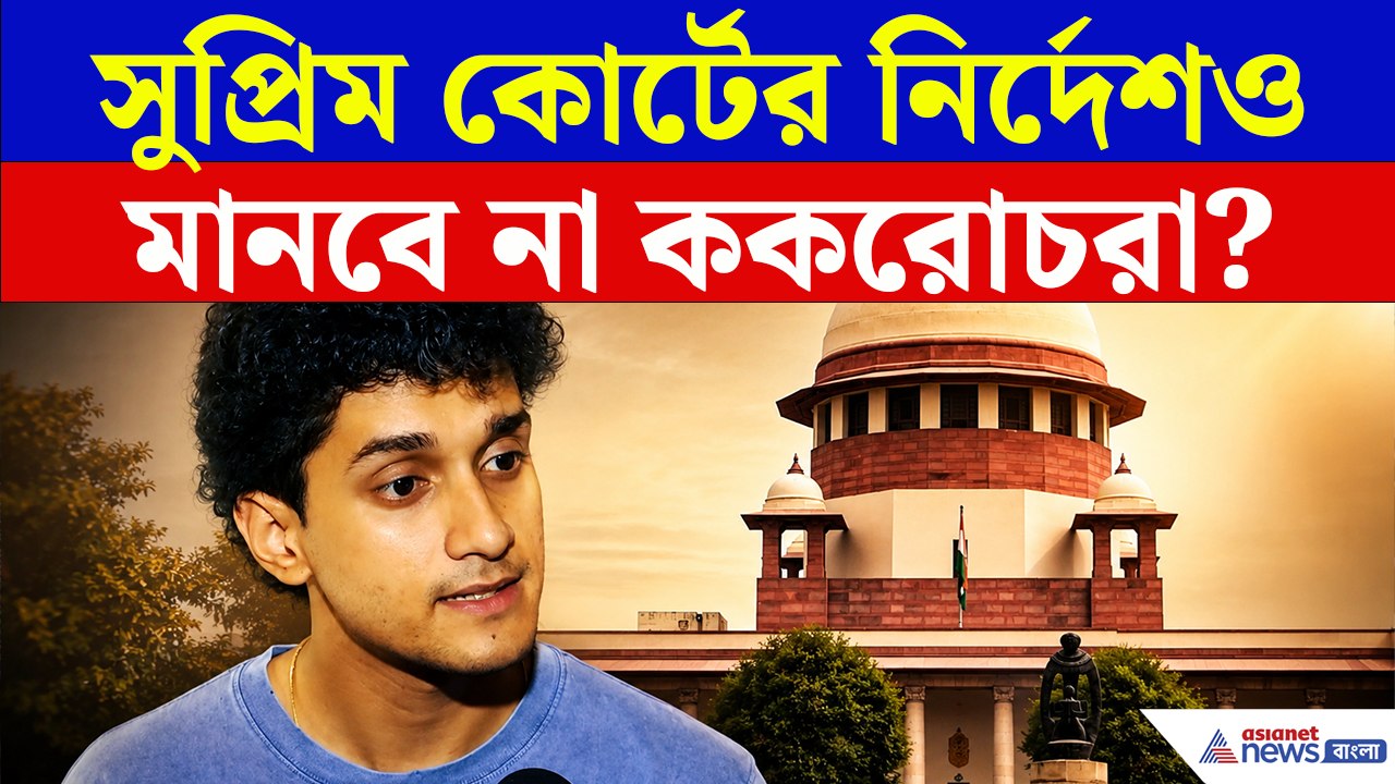 এবার কী সুপ্রিম কোর্টের নির্দেশও মানবে না ককরোচরা?