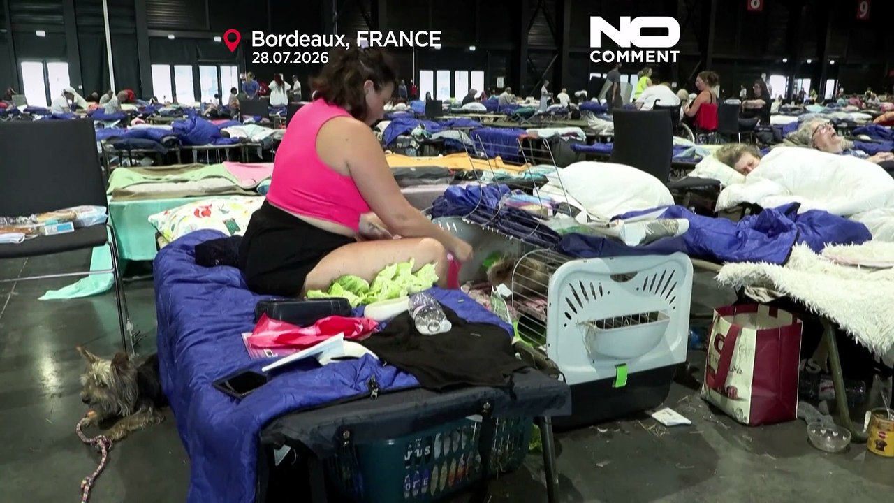 França: equipa veterinária trata animais de desalojados pelos incêndios