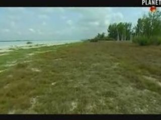 3/3 - Madagascar, des millions pour la déforestation