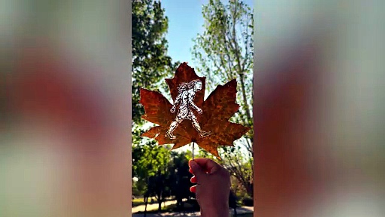 Football Star Erling Haaland Comments on Incredible Leaf Art Portrait