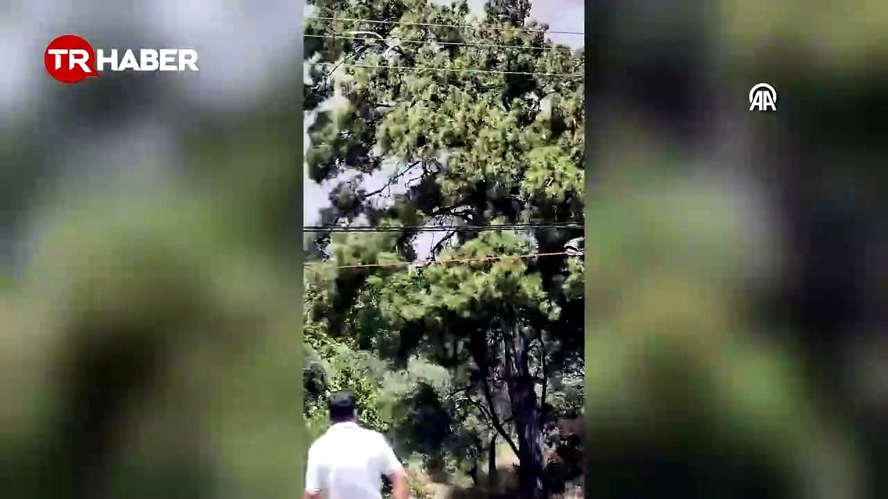 Muğla'daki orman yangınında korkutan görüntüler: Yol kapatıldı evler ve hastane tahliye edildi-5