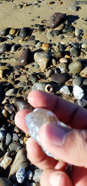 Agate 8